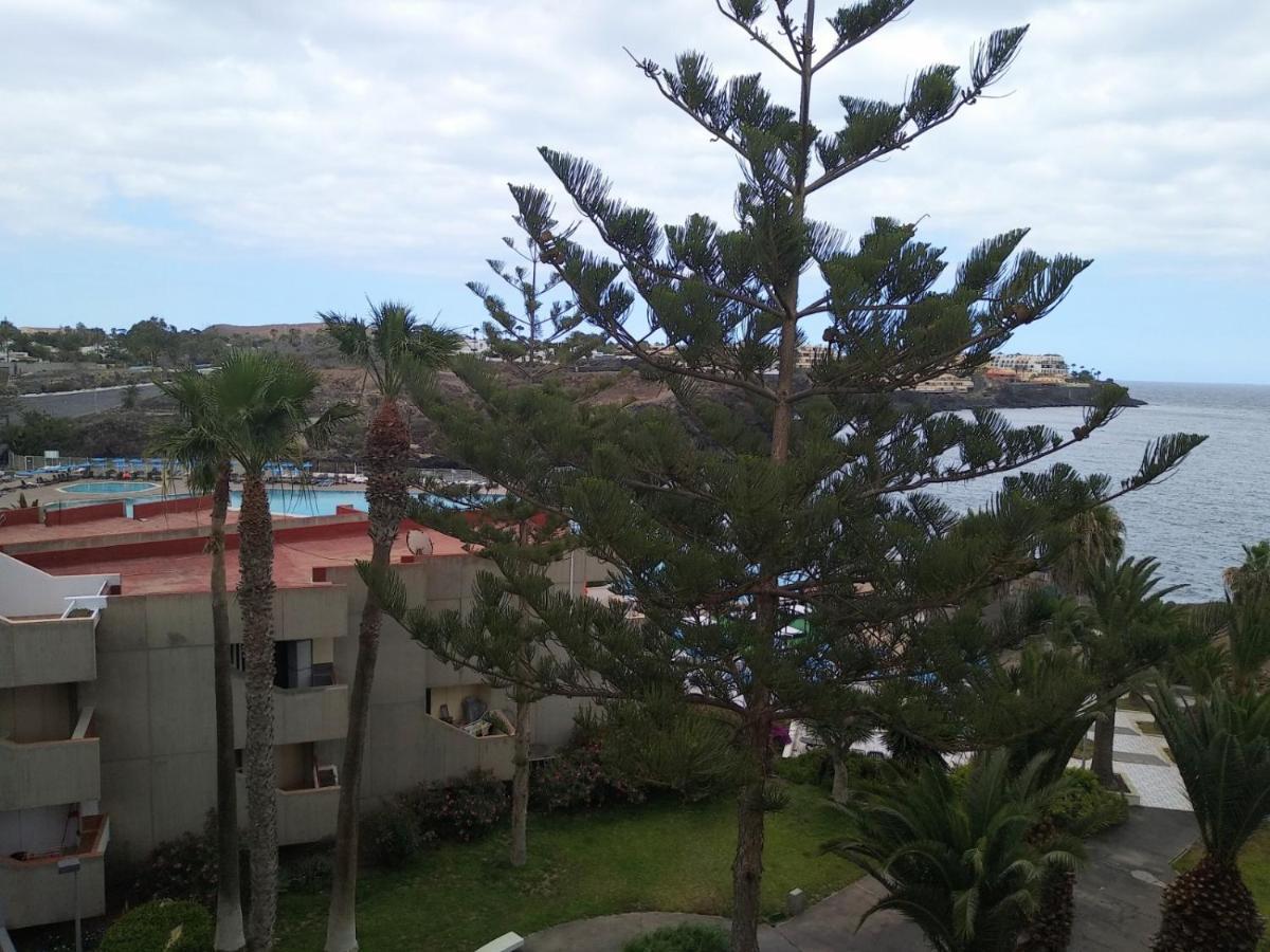 Garden View Apartment In Las Galletas Arona  Εξωτερικό φωτογραφία